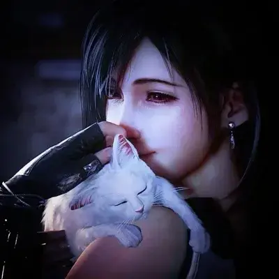 SunnyCity8677의 Tifa Lockheart