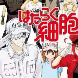 Profile image of 白血球