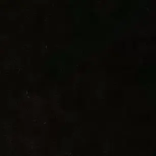 yanxi82의 뜰팁-입양