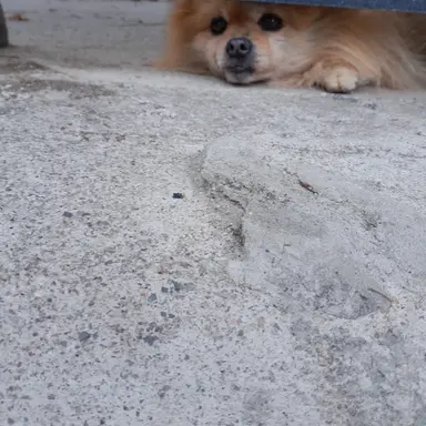 Profile image of 수현