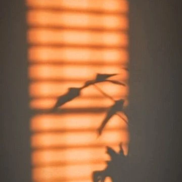 에반