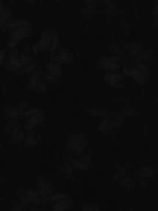 SlowPlant0999의 冤罪