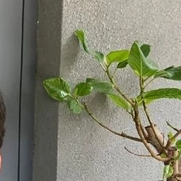 ㅇㅈ