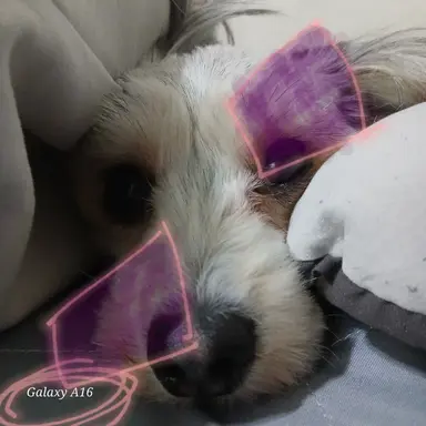 Profile image of 캔플