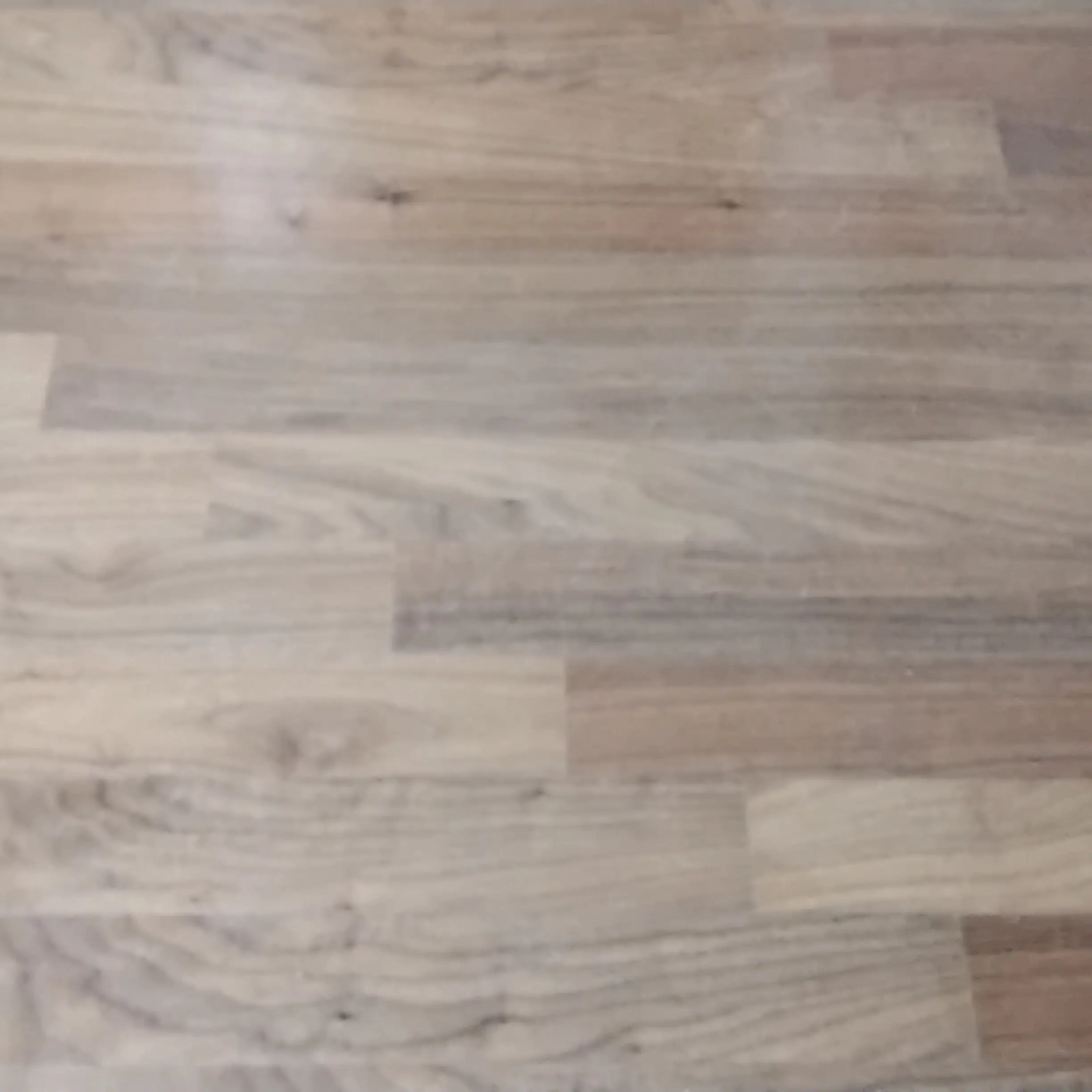 SleepGround..의 수인과 영물 그리고 사람(뜰팁)