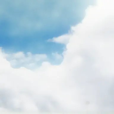 Profile image of Dream