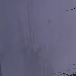 Profile image of 母