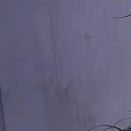 Profile image of 父
