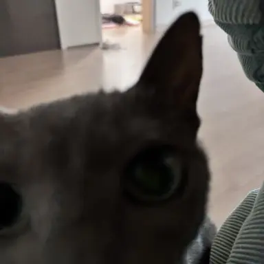 Profile image of 영서