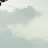 組