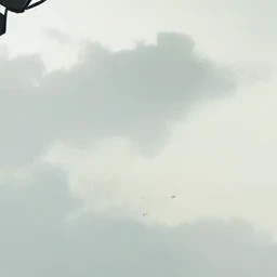 組