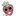 스프라우트
