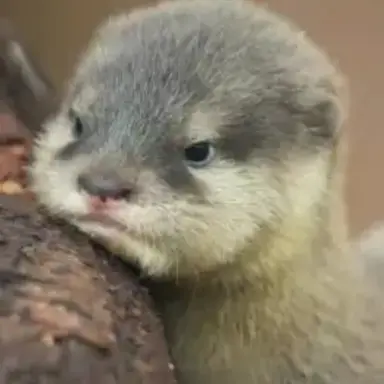 Profile image of 김민정