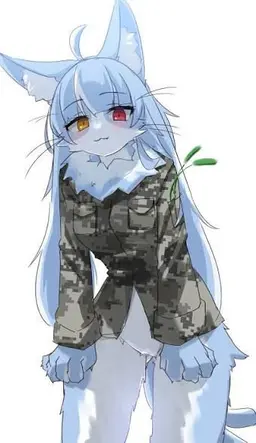 Profile image of おまねこ