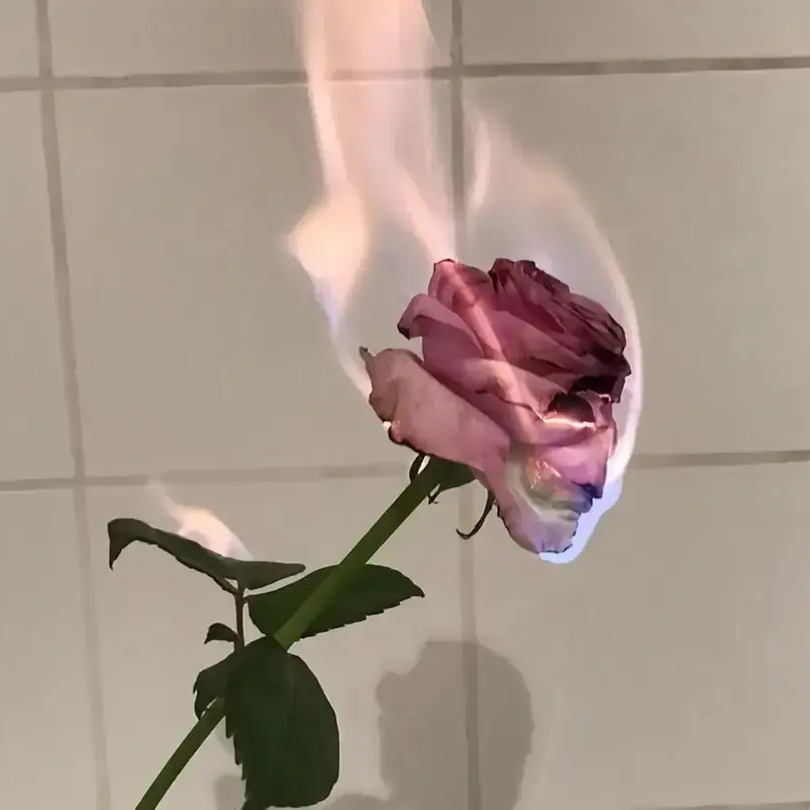 아랍 왕자 대표 이미지
