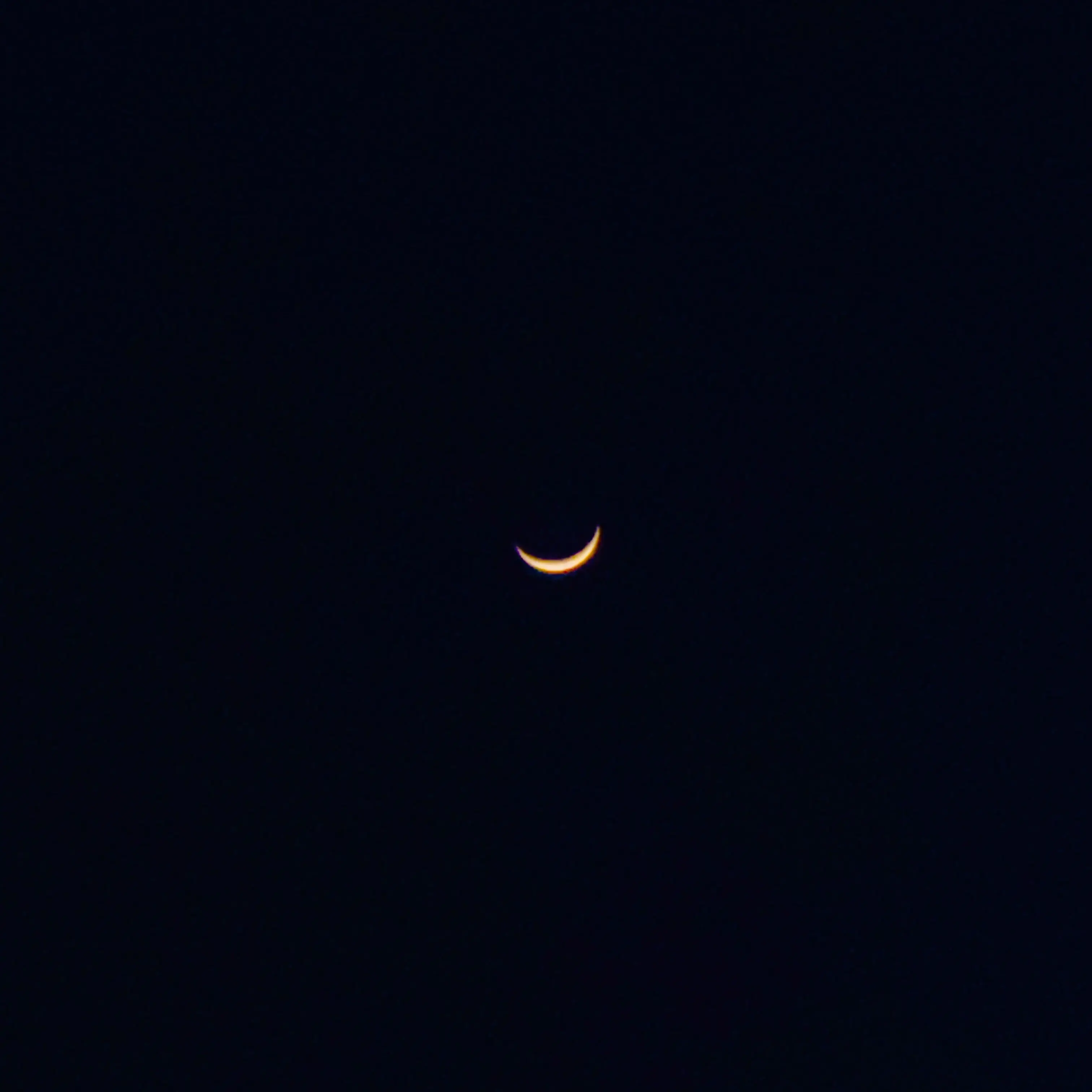 EthnicBed8966의 맘대로 하세요