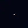Profile image of .