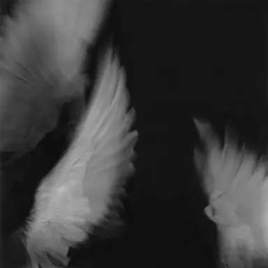 Profile image of Uyung