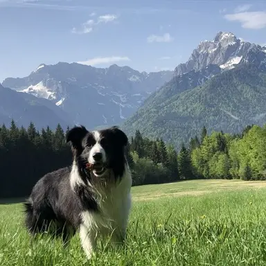 Profile image of Lutz