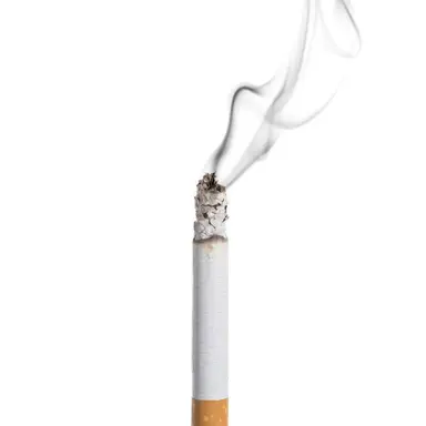 Profile image of 서종수