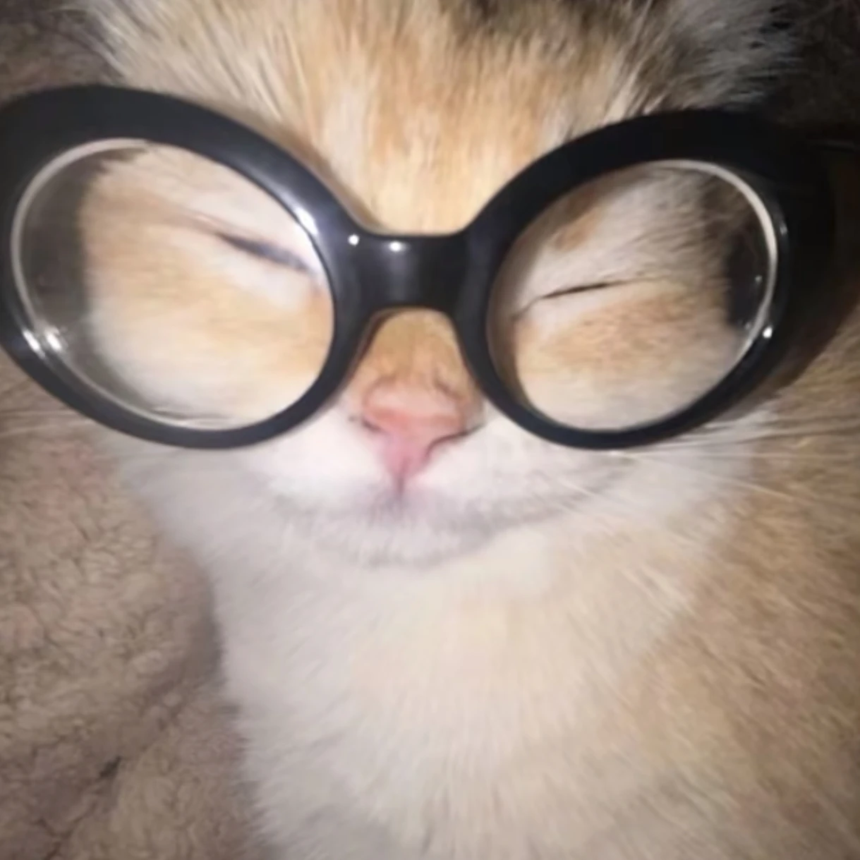 지훈.