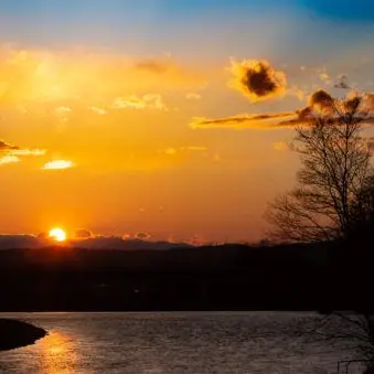 sinngakkikarabotti.의 おとうと