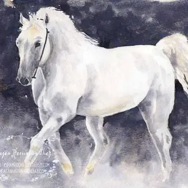 Profile image of Alessandro