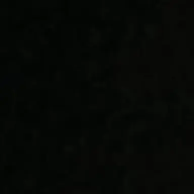 Profile image of 전원우