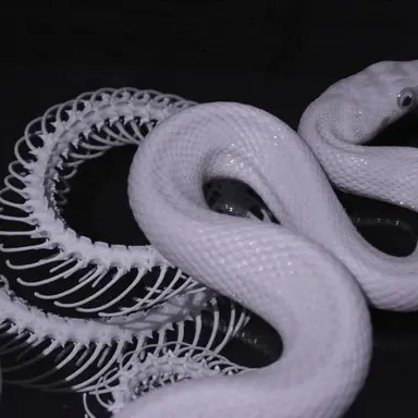 Profile image of 명운