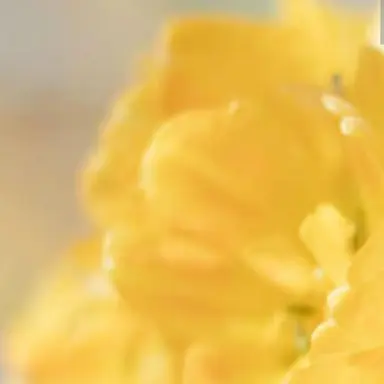 Profile image of 시리유키 히나