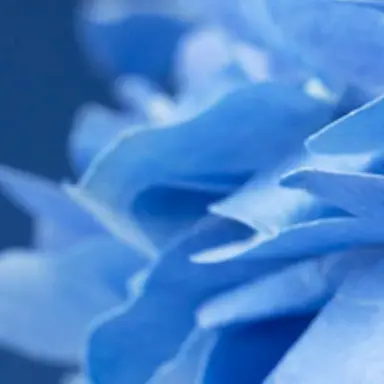 Profile image of 아라하시 타비