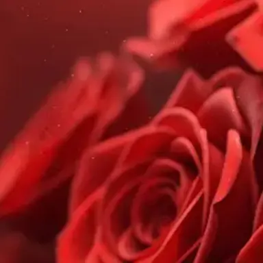 Profile image of 아카네 리제