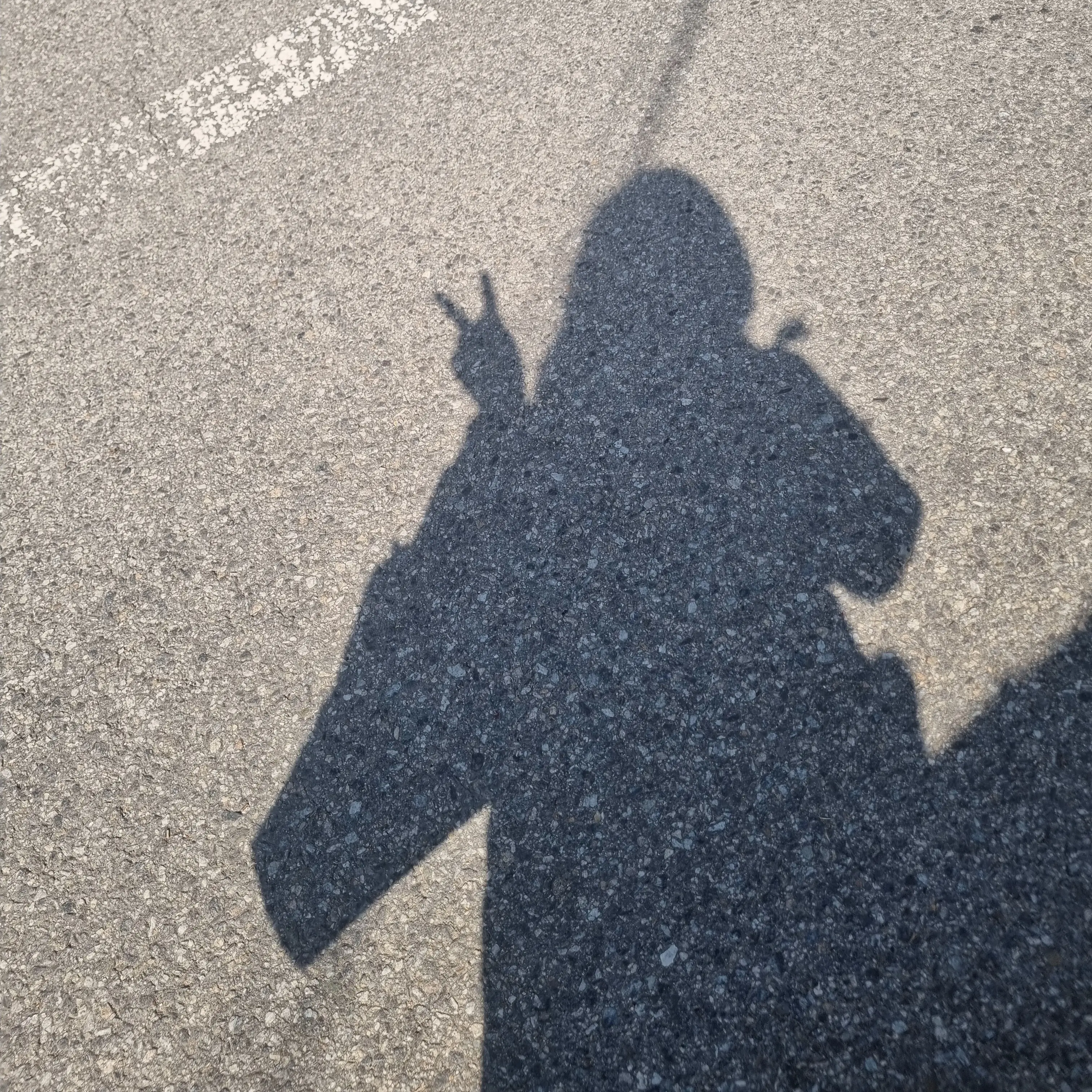cool_guy_yuyu_0619의 읁애띠