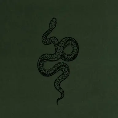 Profile image of 래귤러스 블랙