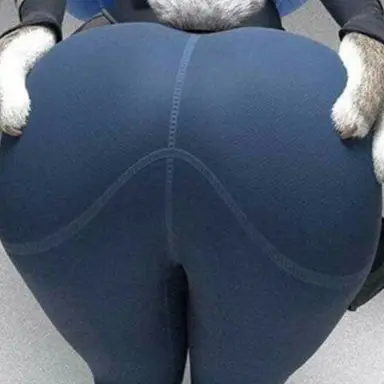 Profile image of 주디