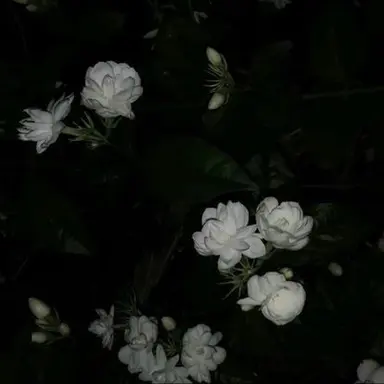 Profile image of 우융