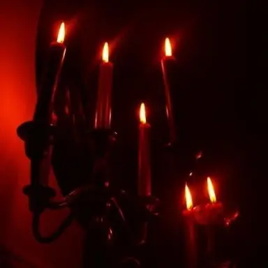 Profile image of 플래그