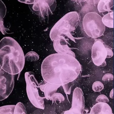 Profile image of 大我