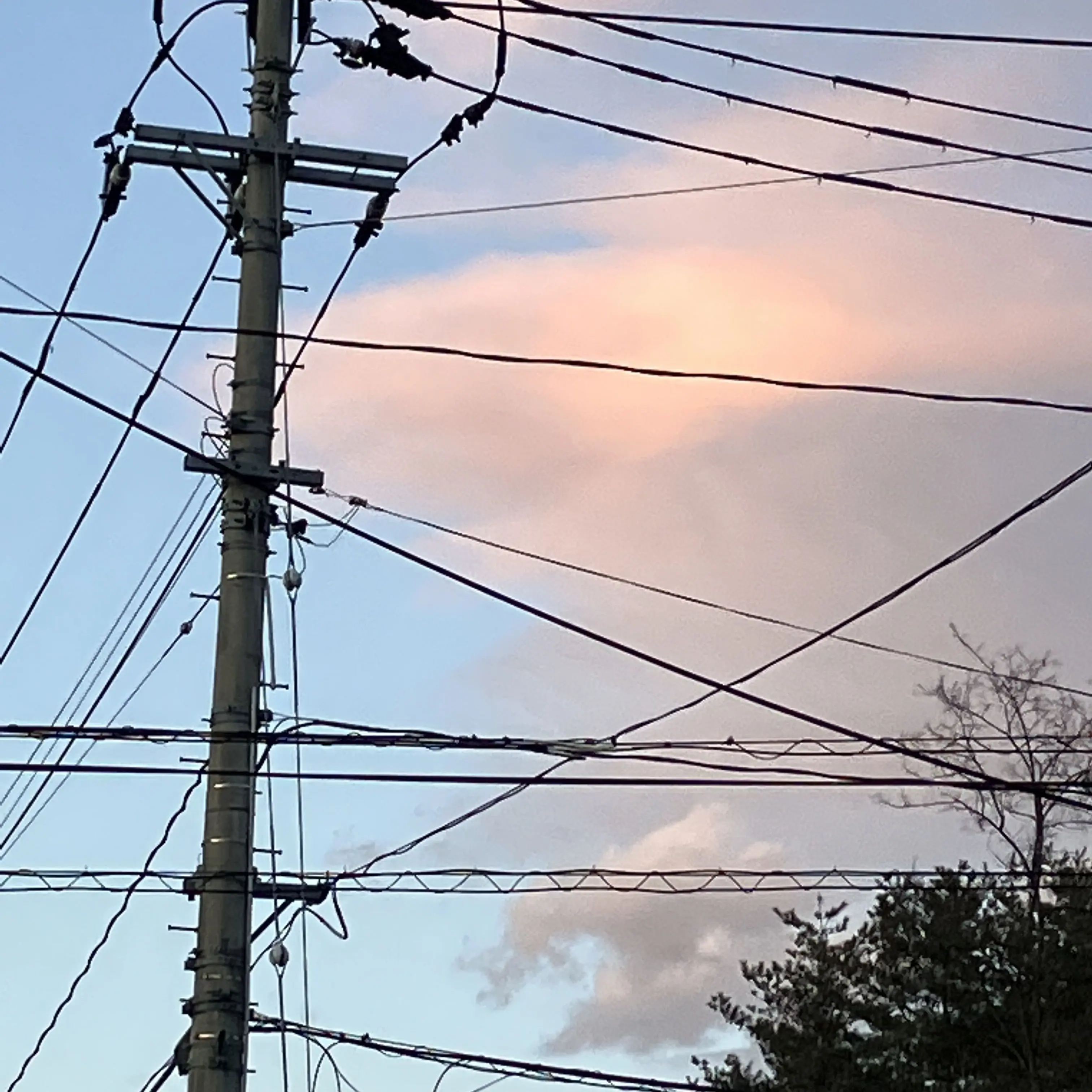 IdealLeech1002의 だから許せない