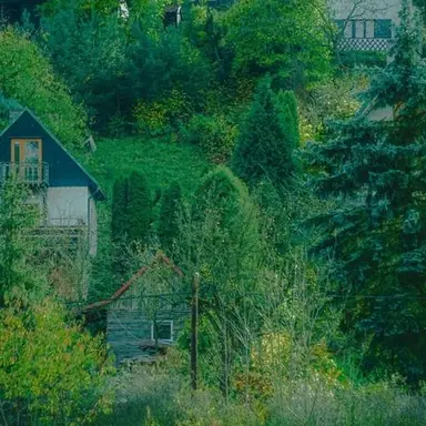 Profile image of 공룡