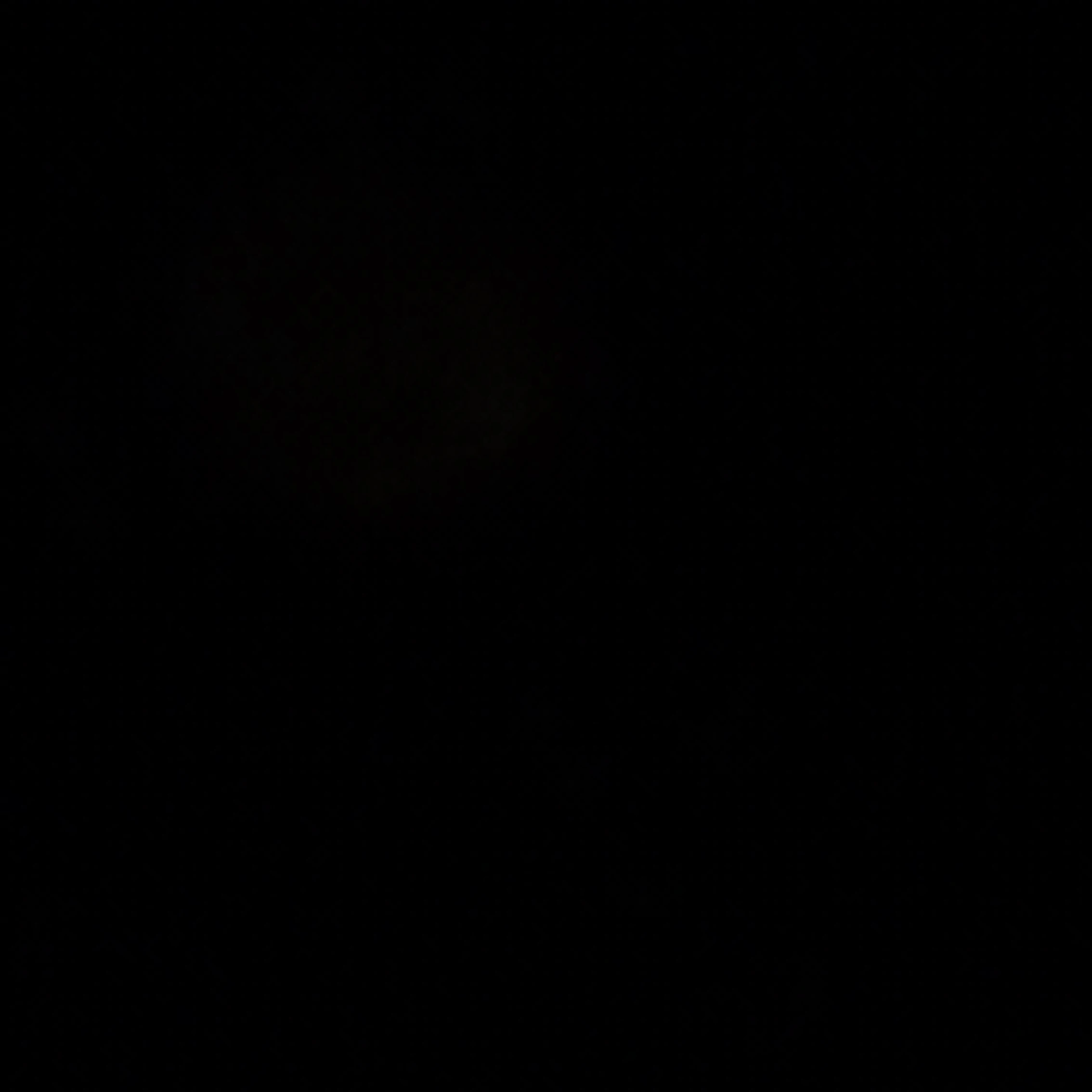 김-운-학