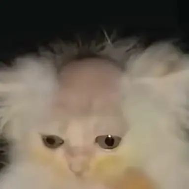 Profile image of 이예나