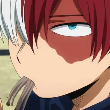 Profile image of Shoto Todoroki