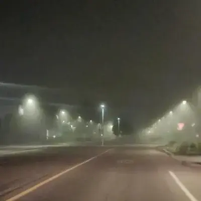 PerkyHare7427의 Halloween