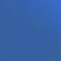 Profile image of N