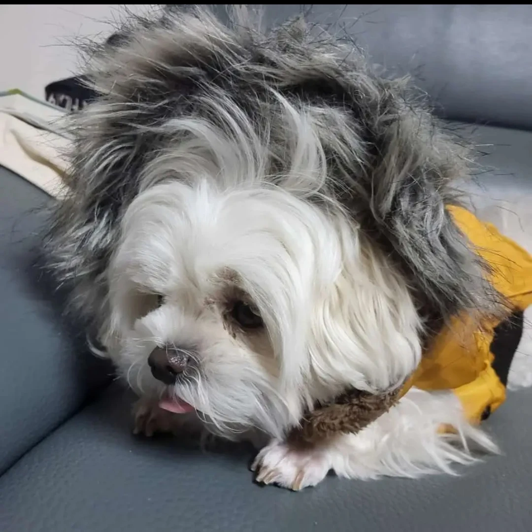 카인