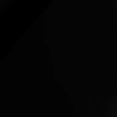 Profile image of 손종원