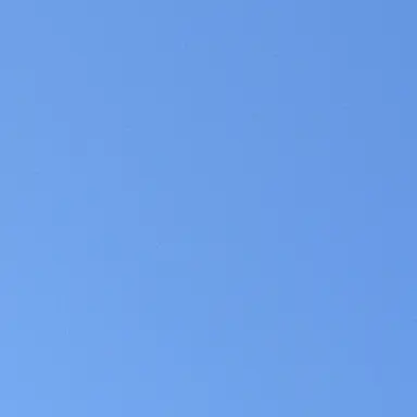 Profile image of 인간측