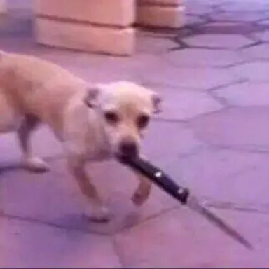 Profile image of 윤아