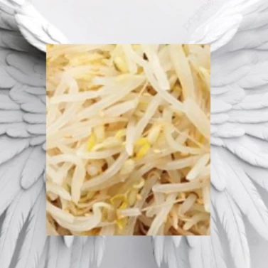김숙주나물